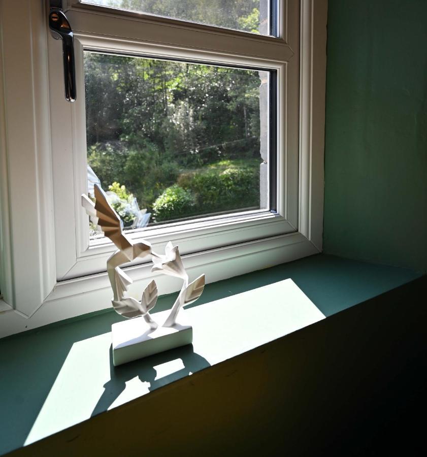 The Old Vicarage B&B, Corris มาฮันเล็ธ ภายนอก รูปภาพ